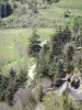 Paisajes de Ardèche - Una pequeña carretera bordeada de árboles