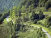 Paisajes de Ariège - Carretera de montaña llena de árboles, en el Parque Natural Regional de los Pirineos de Ariège