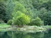 Paisajes de Ariège - Bethmale orilla del lago y se plantaron árboles en el Parque Natural Regional de los Pirineos de Ariège, en Couserans, en el valle de Bethmale