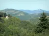 Paisajes de Ariège - Arboladas colinas y praderas