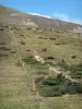 Paisajes de Ariège - Estive (montañas), en Puerto de Lers, en el Parque Natural Regional de los Pirineos de Ariège