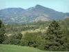 Paisajes de Ariège - Colinas cubiertas de árboles, prados y campos