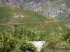 Paisajes de Ariège - Pirineos montañas y la vegetación en el Parque Natural Regional de los Pirineos de Ariège