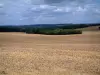 Paisajes del Aube - Vasto campo de bosque en el fondo y las nubes en el cielo