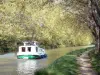 Paisajes de Aude - Canal du Midi: camino de sirga a la sombra de avión y barco navegando en el canal