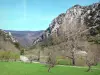 Paisajes de Aude - Bosques y prados con árboles Rocky escarpe