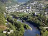 Paisajes de Aveyron - Vistas a la ciudad Entraygues-sur-Truyère y del castillo, en la confluencia del Lot y la Truyère en una zona verde
