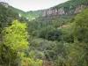 Paisajes de Aveyron - Parque Natural Regional de Causses: verde gargantas Dourbie