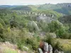 Paisajes de Aveyron - Chaos de Montpellier-le-Vieux, en el Parque Natural Regional de Causses: rocas dolomíticas ruiniformes en una zona verde