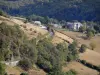 Paisajes de Aveyron - Ver en un país pequeño camino bordeado de árboles y pastos