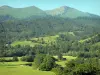 Paisajes de Béarn - Valle verde de Aspe