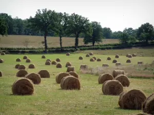 Paisajes de Berry - Campo con fardos de paja, árboles y el bosque