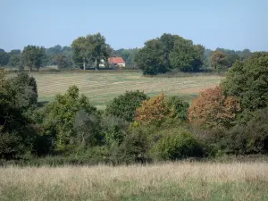 Paisajes del Borbonés - Una combinación de campos y árboles