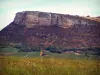 Paisajes de Borgoña del Sur - Roca Vergisson, viñedos (viñas de Borgoña) y la vegetación en primer plano