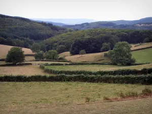 Paisajes de Borgoña del Sur - Morvan (Morvan Parque Natural Regional): pastos, bosques y árboles