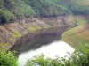 Paisajes de Cantal - Gargantas del Truyère: lago de la presa Sarrans rodeado de árboles