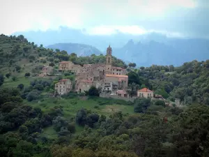 Paisajes de la Córcega interior - Pueblo de montaña rodeada de árboles