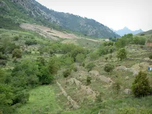 Paisajes de la Córcega interior - Terrazas, césped, árboles y montañas