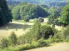 Paisajes de la Corrèze - Parque Regional de Millevaches en Limousin naturales - Macizo de Monédières: pastos rodeados de árboles