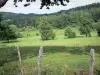 Paisajes de la Corrèze - Parque Regional de Millevaches en Limousin naturales - Plateau de Millevaches: prado salpicado de árboles, cerca del bosque, con la cerca en primer plano