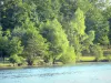 Paisajes de la Corrèze - Árboles por el lago de Coiroux