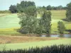 Paisajes de la Corrèze - Los campos y los árboles en la orilla del agua