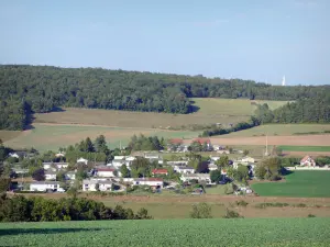 Paisajes de la Côte-d'Or - Casas rodeadas de pastos y bosque