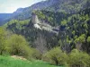 Paisajes del Delfinado - Parque Natural Regional de Vercors (Vercors): pradera con árboles y montañas cubiertas de bosques en la primavera de