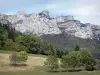 Paisajes del Delfinado - Prado plantado de árboles, los bosques y acantilados de roca (paredes) por encima del resto