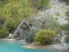 Paisajes del Delfinado - Vénéon valle (macizo de Ecrins - Oisans): Vénéon torrent, rocas y arbustos