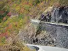 Paisajes del Delfinado - Oisans camino de Alpe d'Huez en el otoño