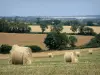 Paisajes de Deux-Sèvres - La sucesión de los campos, las balas de heno en el primer plano