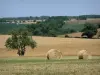 Paisajes de Deux-Sèvres - La sucesión de los campos, las balas de heno en el primer plano