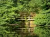 Paisajes de Deux-Sèvres - Los árboles se refleja en las aguas del lago Hautibus en Argenton-les-Vallées