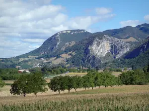 Paisajes de Drôme - Parque Natural Regional de Vercors: campo salpicado de árboles, al pie de las montañas