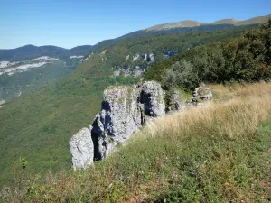 Paisajes de Drôme - Parque Natural Regional de Vercors: vista de las montañas verdes