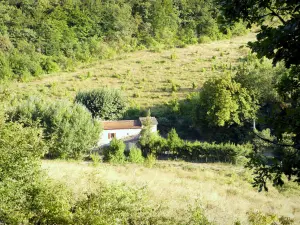 Paisajes de Drôme - Casita en un prado, entre los árboles.