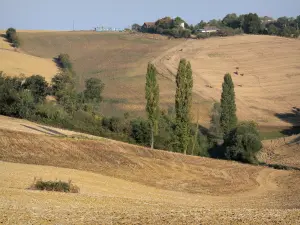 Paisajes de Gascuña - Campos de Rolling