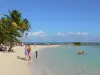 Paisajes de Guadalupe - Caravelle Beach en la isla de Grande - Terre, en la localidad de Sainte - Anne : tomando el sol en la playa de arena y nadar en la laguna de color turquesa