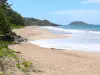 Paisajes de Guadalupe - Playa Clugny, en la localidad de Sainte -Rose, en la isla de Basse - Terre : arena dorada y las olas del mar, con vistas al islote Kahouanne