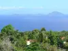 Paisajes de Guadalupe - Vista del mar y de la costa verde Saintes de la isla de Basse - Terre