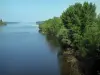 Paisajes de Indre y Loira - Viena (río) en el primer plano, los árboles y la confluencia del Loira y Vienne, en el fondo, en Candes-Saint-Martin