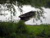 Paisajes de Indre y Loira - Las ramas de un árbol, un banco de juncos, barco por el río