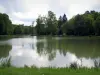 Paisajes de Indre y Loira - Hierba en el primer plano, el río y los árboles reflejados en el agua
