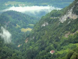 Paisajes del Jura - Gargantas Flumen, árboles, bosques, nubes, pasto, casa y un túnel en el Parque Natural Regional del Haut-Jura