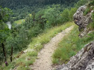 Paisajes del Jura - Camino que conduce a la pérdida de Ain, los árboles y el bosque