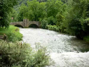 Paisajes del Jura - Puente sobre un río, los árboles de ribera