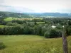 Paisajes del Jura - Wildflower prados, árboles, lagos y colinas en el fondo