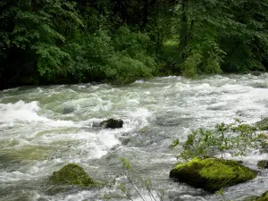 Paisajes del Jura - De los ríos, las rocas y los árboles