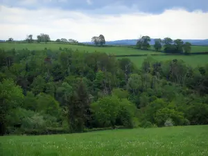 Paisajes de Lemosín - Prados, árboles y nubes en el cielo